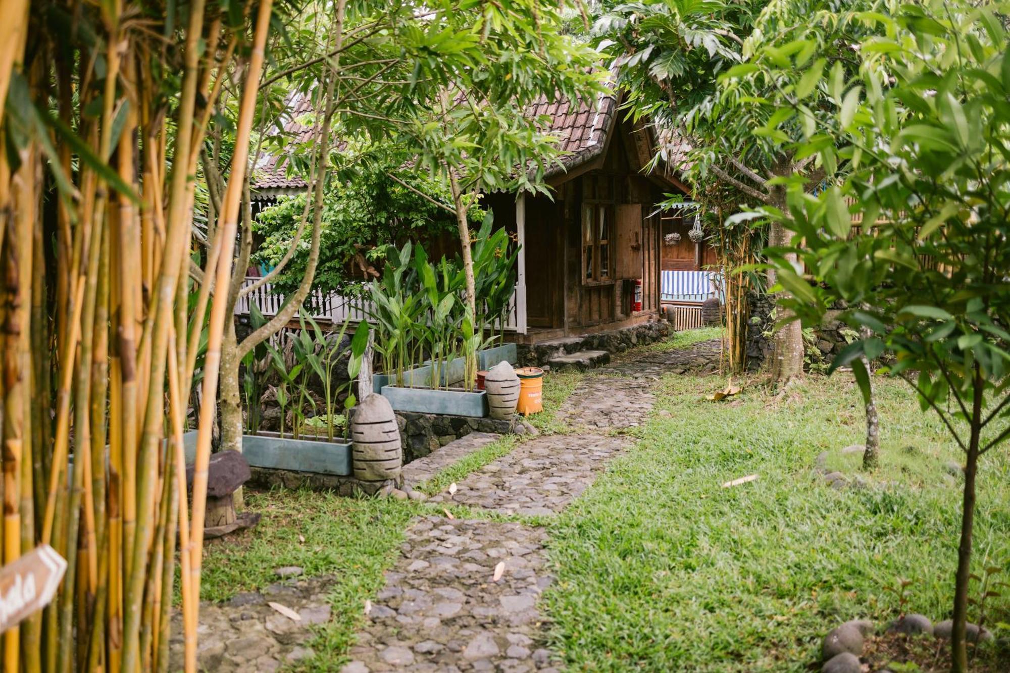 Ubuntu Bali Eco Yoga Retreat - Canggu Exterior photo